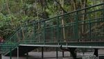 Ini Tempat yang Sejuk dan Penuh Kesegaran di Bandung