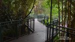 Ini Tempat yang Sejuk dan Penuh Kesegaran di Bandung
