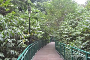 Ini Tempat yang Sejuk dan Penuh Kesegaran di Bandung