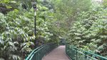 Ini Tempat yang Sejuk dan Penuh Kesegaran di Bandung