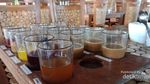 Ini Tempatnya Pecinta Kopi di Bali
