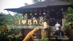 Ini Tempatnya Pecinta Kopi di Bali