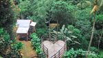 Ini Tempatnya Pecinta Kopi di Bali