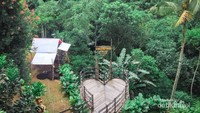 Selain ngopi, juga bisa menikmati keindahan alam yang luar biasa dari Ubud.