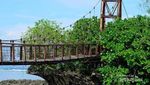 Ini yang Cantik-cantik di Garut