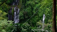 Puncak air terjun dilihat dari kebun kopi milik warga