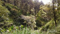 Pemandangan sekitar