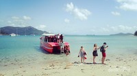 Pantai ini terletak tak jauh dari Great Barrier Reef, di Queensland, Australia