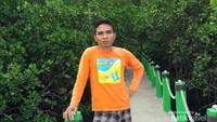Hutan mangrove