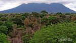 Inilah Afrika Ala Jawa