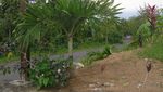 Inilah Candi Paling Tinggi di Yogya
