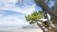 Pantai Papaliseran