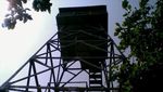 Inilah Kerajaan Burung di Indonesia