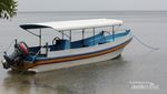 Inilah Kerajaan Monyet di Pantai Bama