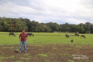 Inilah Pulau di Ujung Selatan Indonesia