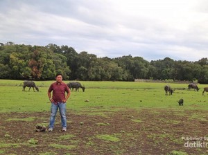 Inilah Pulau di Ujung Selatan Indonesia