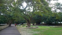 Salah satu bagian dari taman Renungan Bung Karno. Bersih dan nyaman, tempat yang tepat untuk bersantai atau menghabiskan waktu.