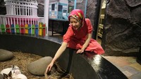 Bermain bersama kelinci
