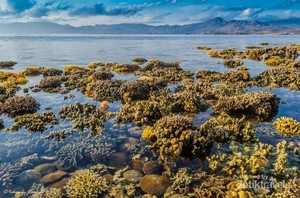 Ironi Dibalik Cantiknya Pantai di Bima, Sumbawa