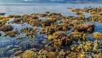 Ironi Dibalik Cantiknya Pantai di Bima, Sumbawa