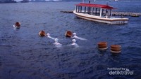 Pertunjukkan Ama-san di Mikimoto Pearl Island