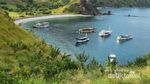 Island Hopping di NTT, Bisa ke Destinasi Cantik Ini Island Hopping di NTT, Bisa ke Destinasi Cantik Ini
