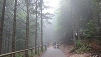 Jalan dari Jembatan Marien menuju Istana Neuschwanstein