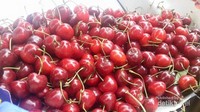Buah ceri segar