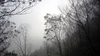 Kabut di Puncak Sikunir