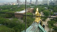Pemandangan dari lantai tertinggi Osaka Castle