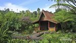 Jadul Village, Penginapan Rasa Jawa di Tanah Pasundan