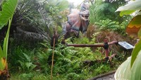 Bertemu dinosaurus di wahana petualangan dinosaurus