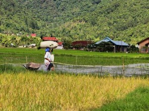 Jakarta Punya Kemang, Bukittinggi Punya Kamang