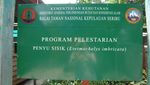 Jalan-jalan Asyik ke Pulau Pramuka