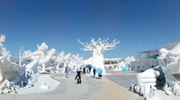Frost Magical Ice