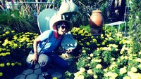 Tak jauh dari pintu masuk disambut yelow flowers