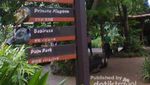 Jalan-jalan ke Kebun Binatang Singapura, Seru Juga!