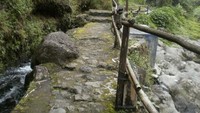 Jalan setapak