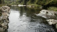 Telaga Sunyi