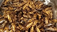 Salah satu serangga yang dijual di Asiatique Night Market Thailand