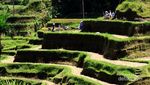 Jalan-Jalan ke Ubud Naik Motor, Seru banget!
