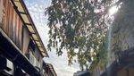 Jalan-Jalan Kelilingi Musim Gugur di Kyoto