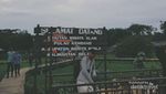 Jalan-jalan Nyaman ke Pulau Kembang di Barito Kuala Tanpa Masuk Angin