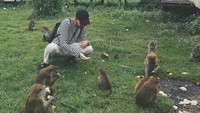 Bermain bersama monyet