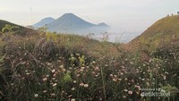 ciptaan tuhan di gn. prau
