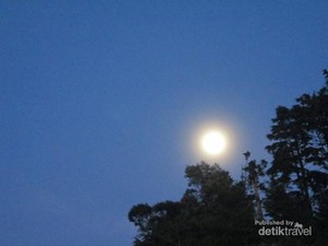 Jalan-jalan Seru ke Gunung Prau!