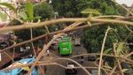 Jalan-jalan Sore di Bandung Tanpa Takut Keserempet Motor