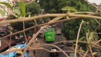 Jalan Cihampelas
