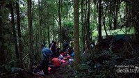 Di rimba Buntu Katapu