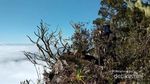 Jalan Panjang Menaklukkan Rantemario, Gunung Tertinggi di Sulawesi